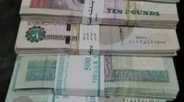 الرقابة المالية حظر الصرف النقدي لأرباح المساهمين ومهلة عام لتوفيق الأوضاع 1